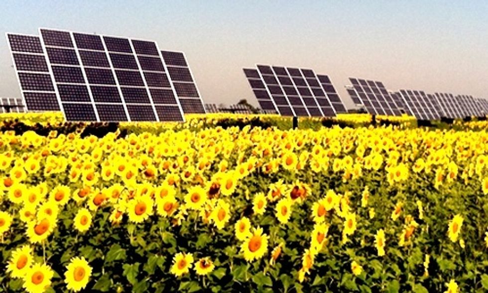 Solar Capacity in the U.S. Enough to Power 4 Million Homes