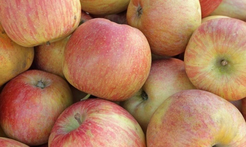 USDA Approves Apple Imports From China Despite Potential Impact on American Consumers and Growers