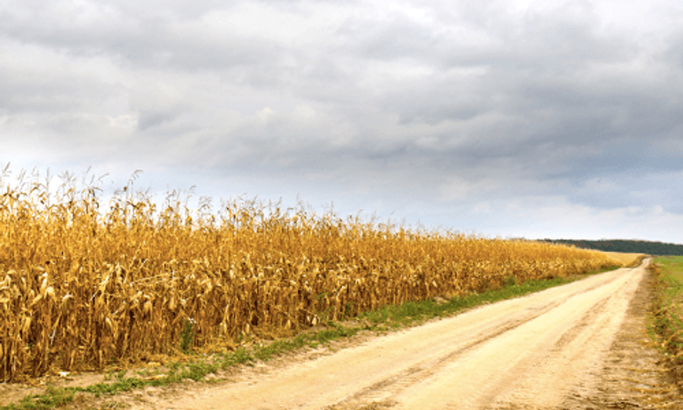 Can This 'Airbnb for Water' Help Drought-Stricken Farmers?