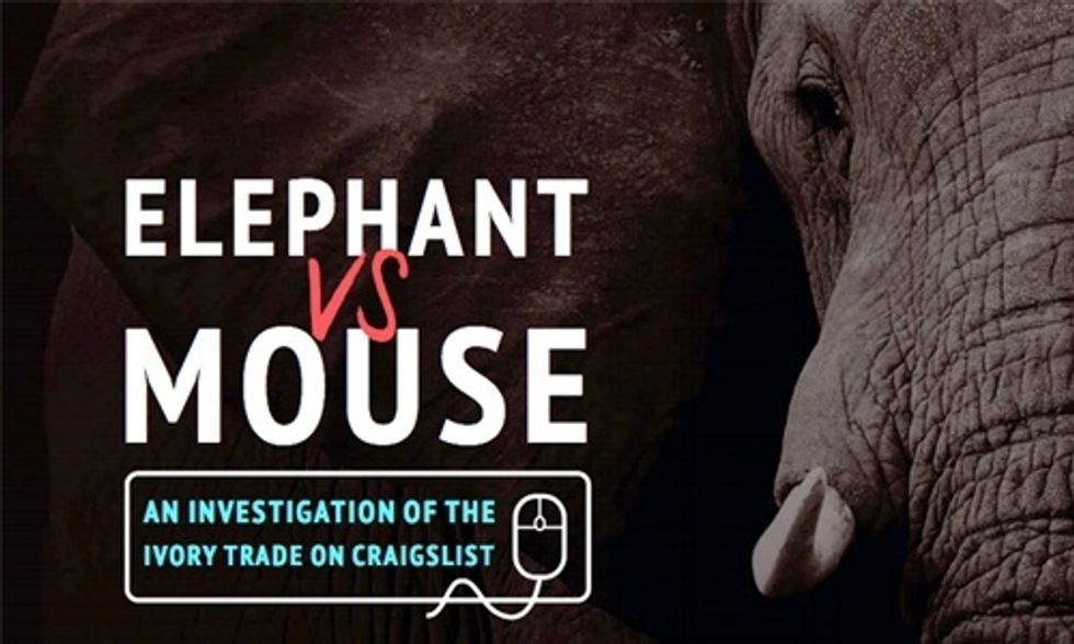 How Craigslist Contributes to the Killing of Elephants