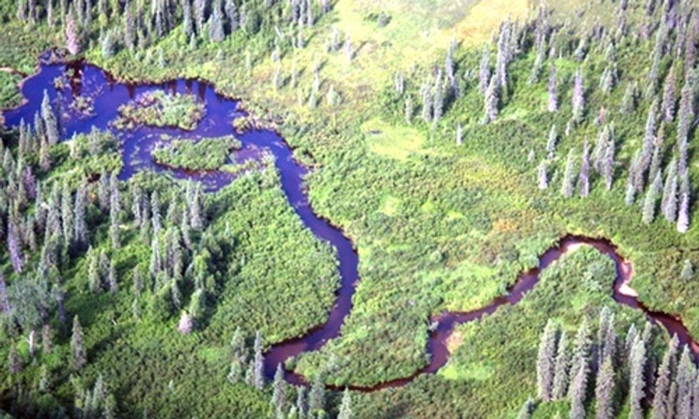 Help Save One of America's Most Pristine and Endangered Rivers from Proposed Coal Mine