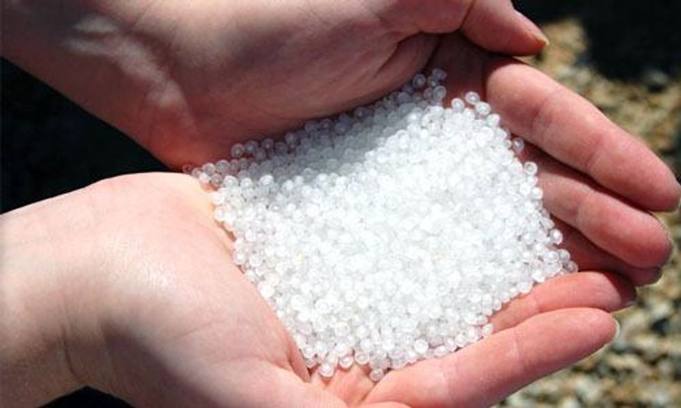 UN Scientists Call for Action on Marine Microplastics as New York Assembly Passes Microbeads Ban