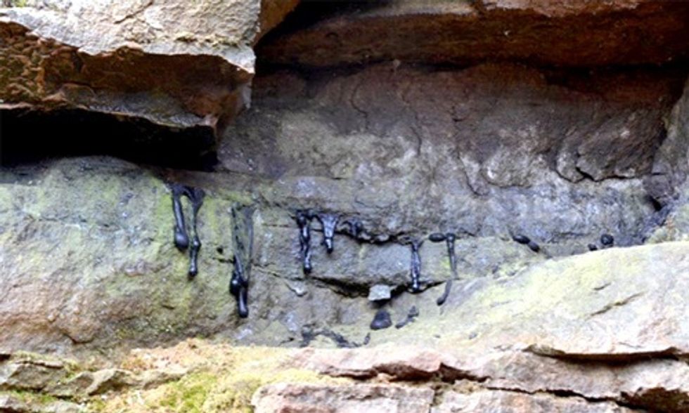 Tar Sands Mining Coming to the Tennessee River Valley?