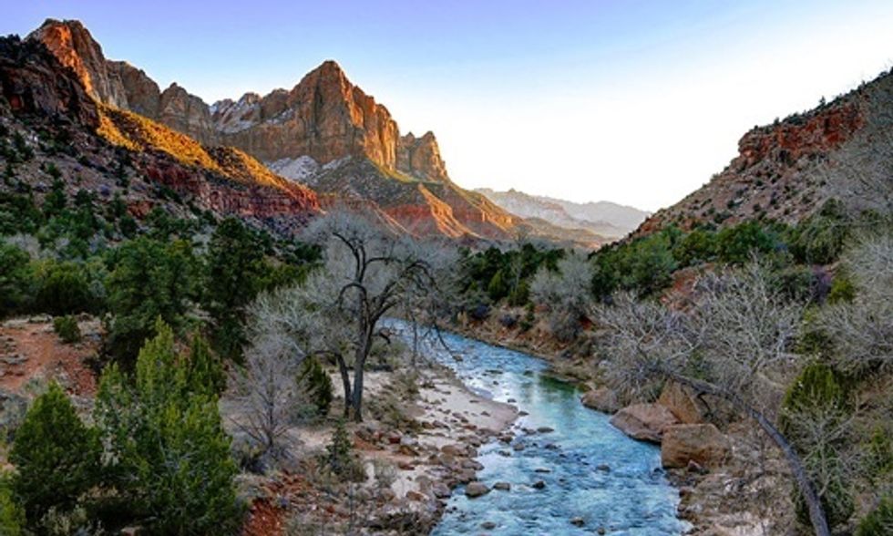 How Forest Fragmentation Threatens Biodiversity