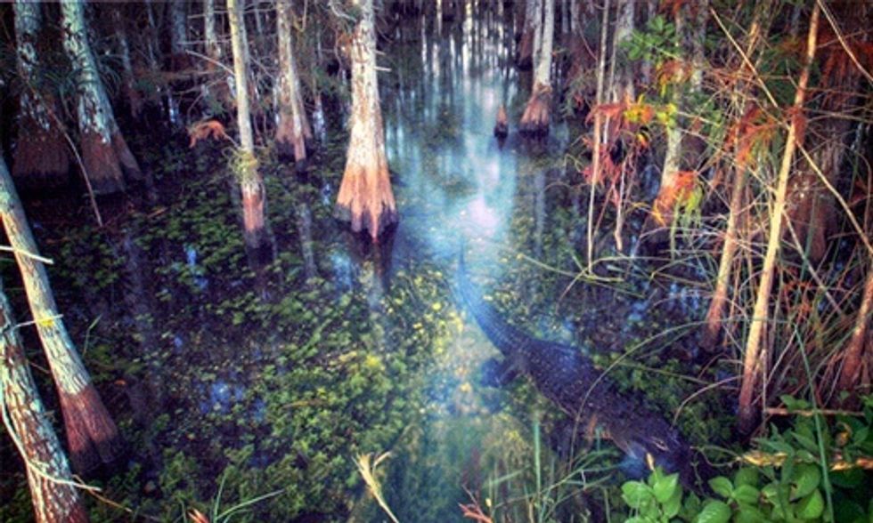 ReThink Energy: 'We Will Ensure Florida Keeps Fracking Out of Our State'