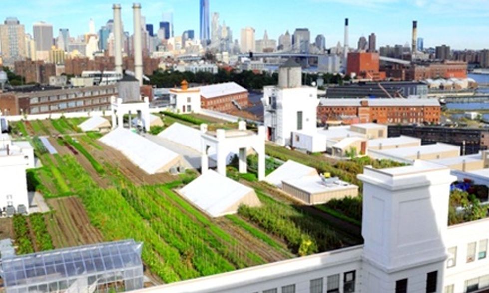 6 Urban Farms Revolutionizing Where Food Is Grown