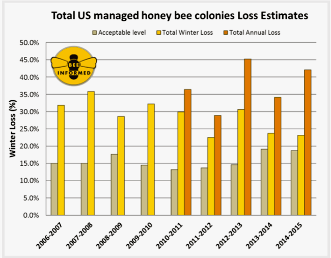 U S Honeybee Population Plummets By More Than 40 USDA Finds EcoWatch   Img 