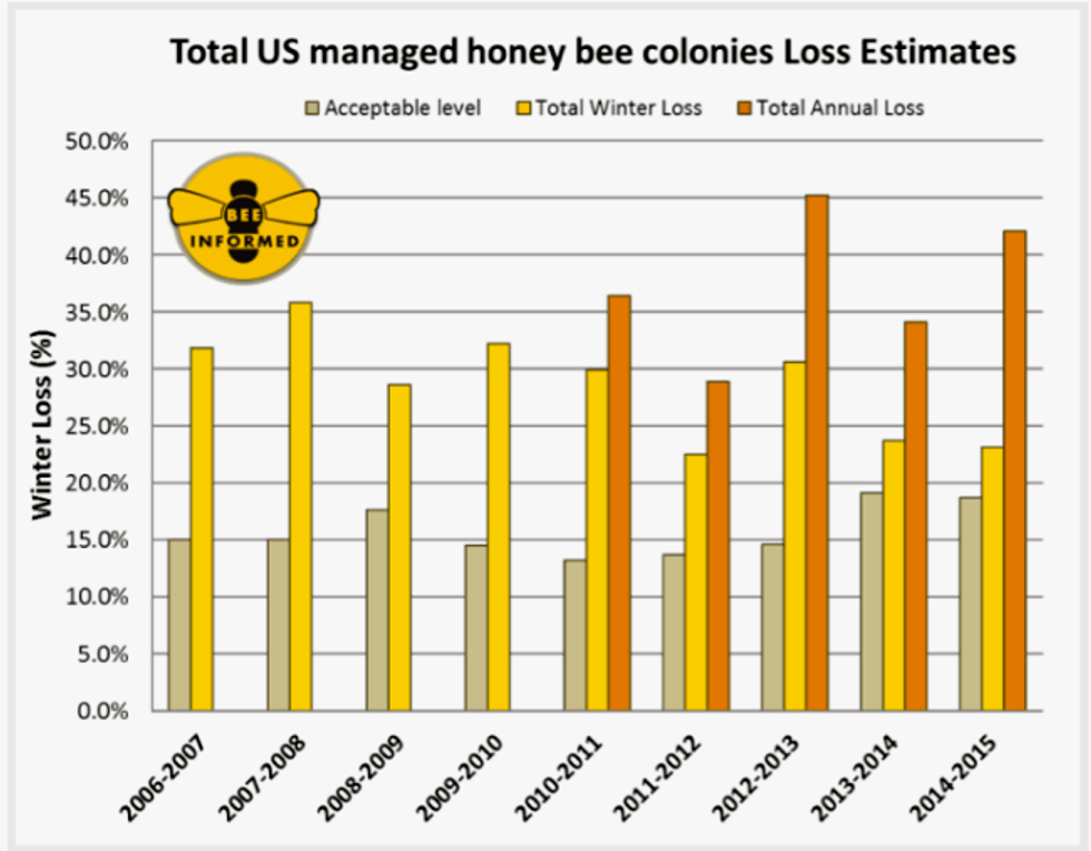 U.S. Honeybee Population Plummets by More Than 40, USDA Finds EcoWatch