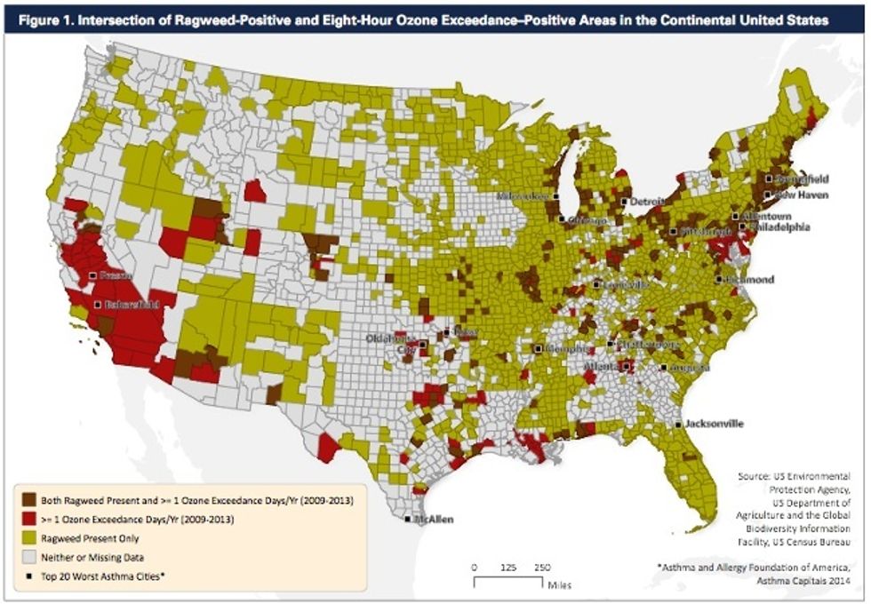 35 Worst Cities (and the Worst State) for Asthma and Allergy Sufferers