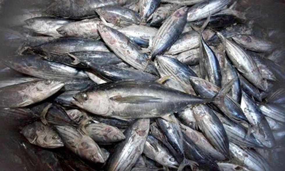 Students Demand Aramark Serve Sustainably Caught Tuna