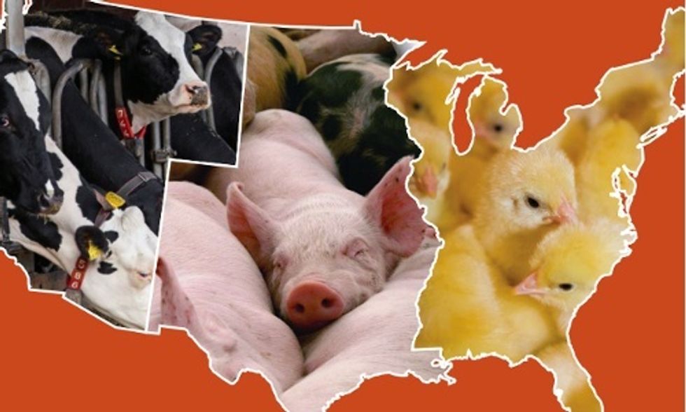 Factory Farms Are a #LoadOfCrap, Says New Report