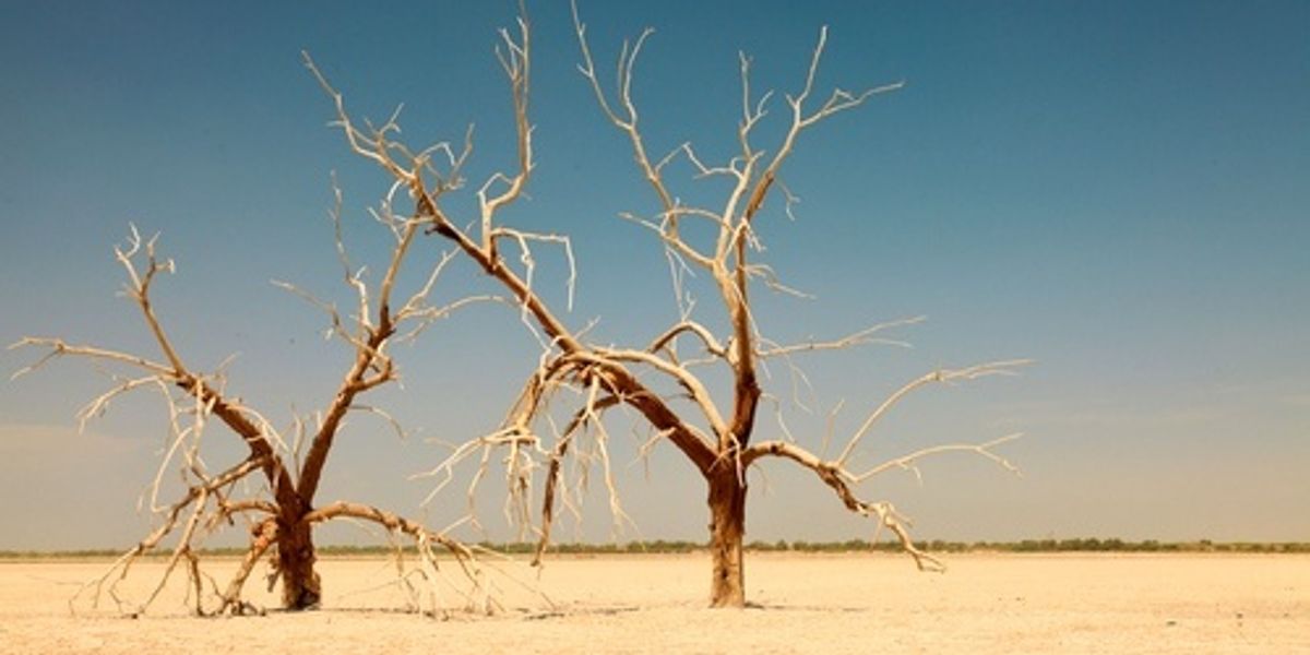 California's Largest Lake Is Drying Up Amid Epic Drought EcoWatch