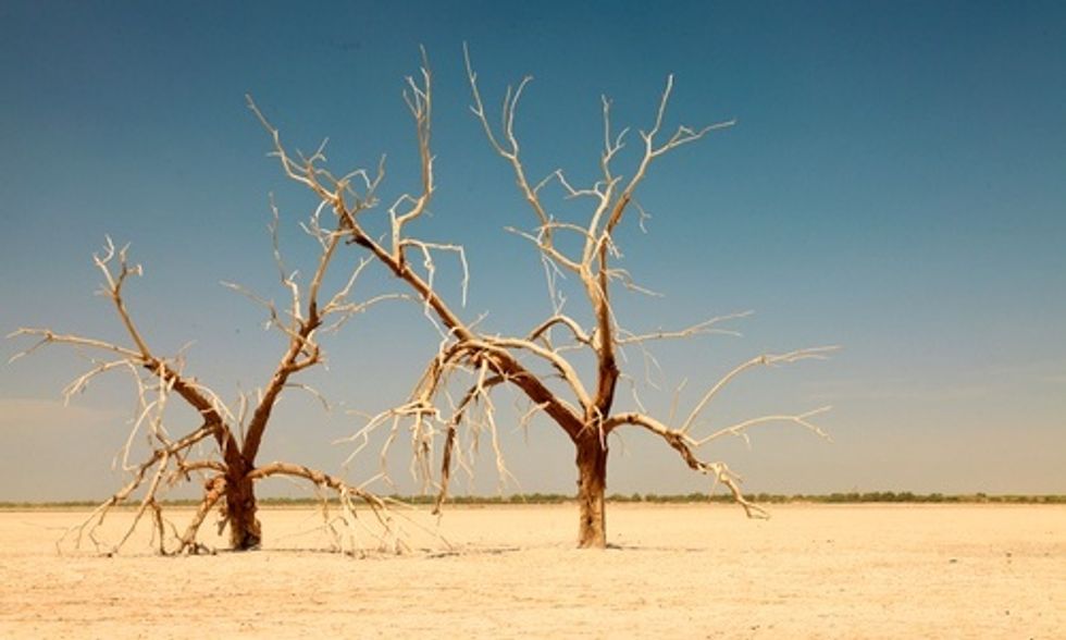 California's Largest Lake Is Drying Up Amid Epic Drought