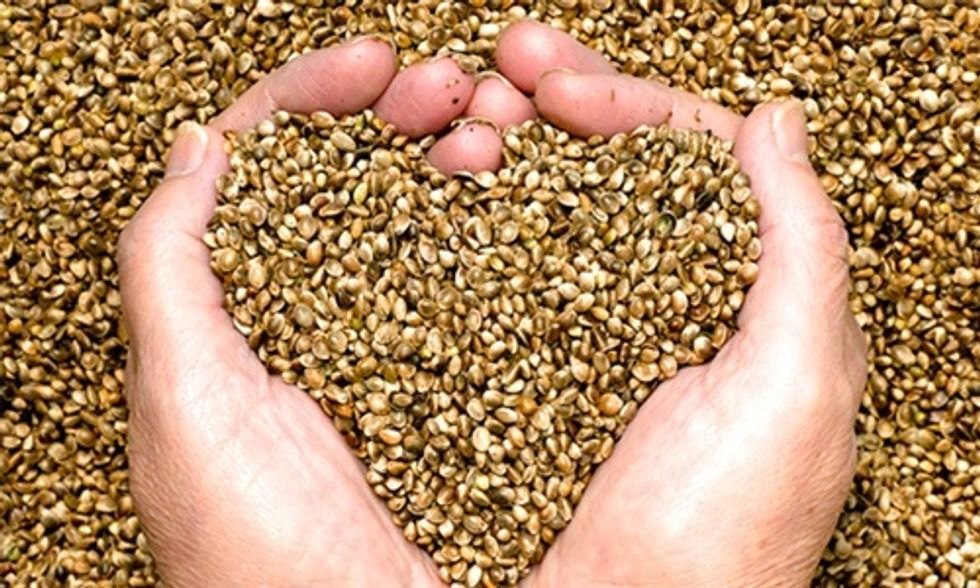 The Miracle Superfood You're Not Eating