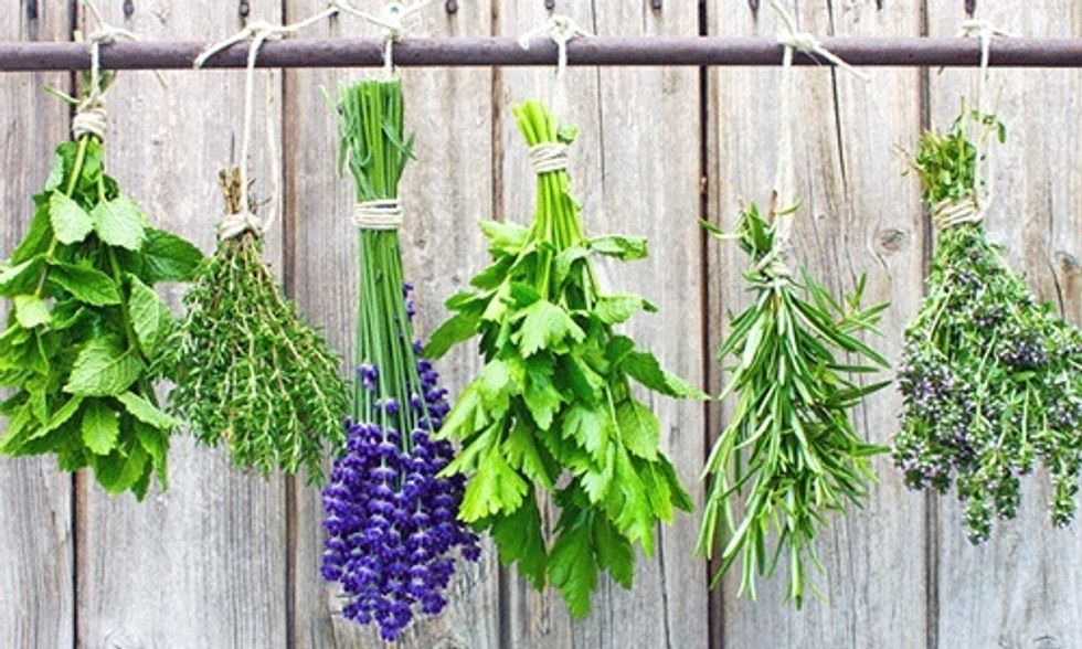 5 Medicinal Herbs You Can Grow In Your Backyard