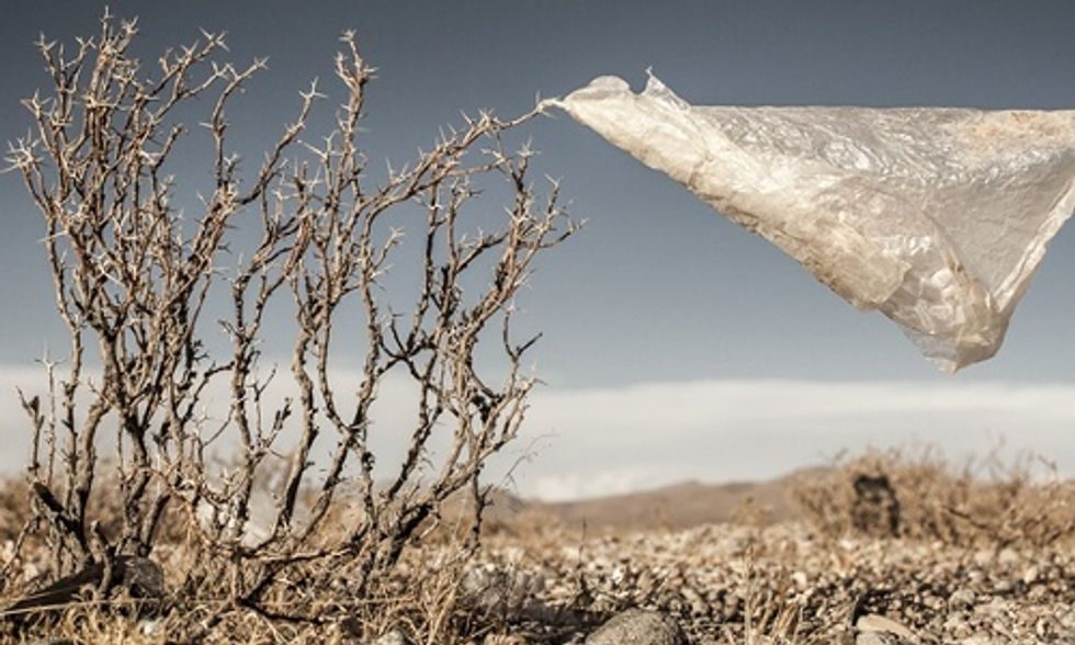 12 Powerful Images: Who Will Win the Environmental Photographer of the Year?