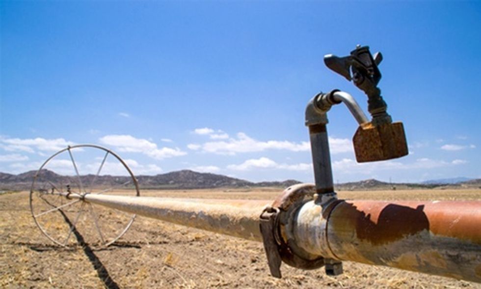 Drought-Stricken California Orders Largest Recorded Water Cuts for Farmers