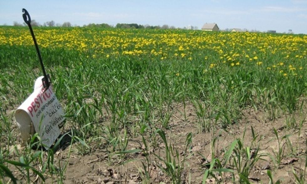 France Bans Monsanto's Roundup as Environmental Groups Push WHO for Stronger Safety Standards