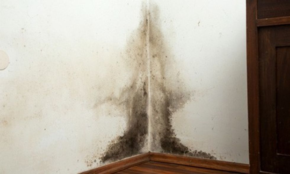 Is Your House Making You Sick?
