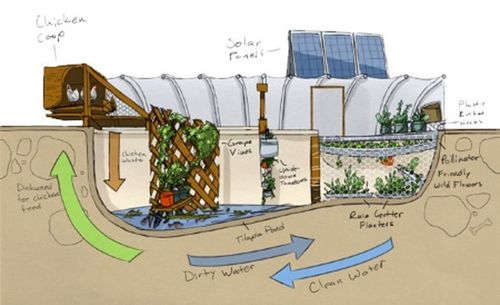 3 Creative Solutions Emerging In Urban Farming Ecowatch