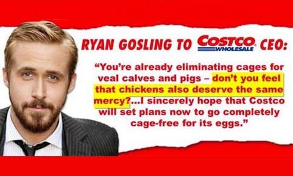 Ryan Gosling: What Costco Doesn't Want You to Know About Their Eggs