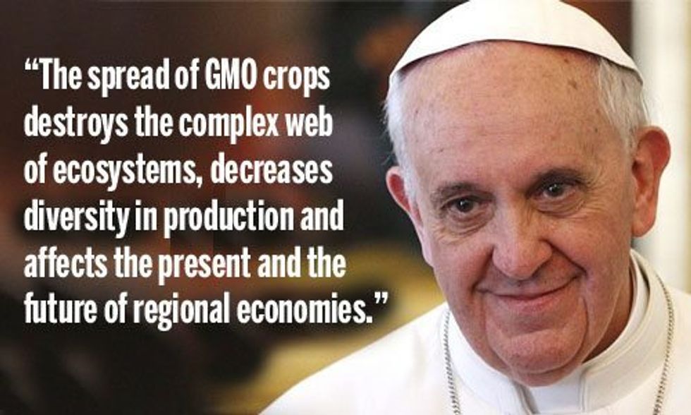 Pope Francis Slams GMOs and Pesticides for Destroying the Earth's 'Complex Web of Ecosystems'