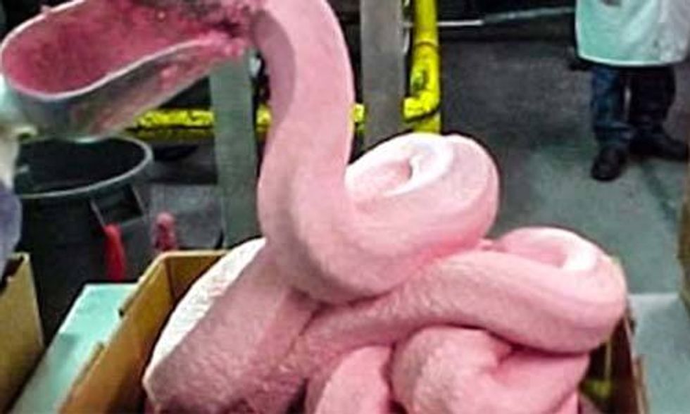 10 Foods Banned in Other Parts of the World, But Not in America