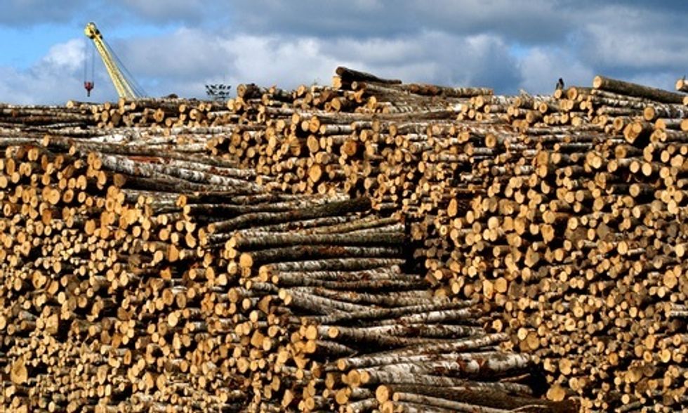 Why Would 46 Senators Support Burning Trees for Electricity When It Contributes More to Climate Change Than Coal?