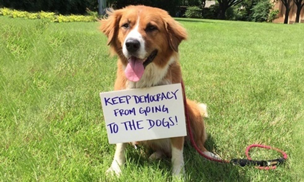 Fracking Democracy