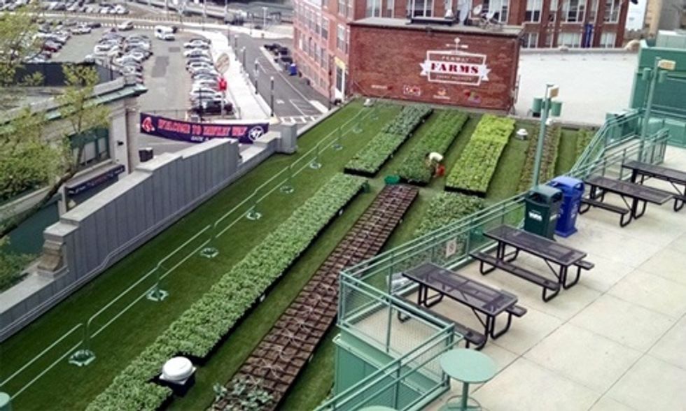 Urban Farming Hits Major League Baseball Stadiums