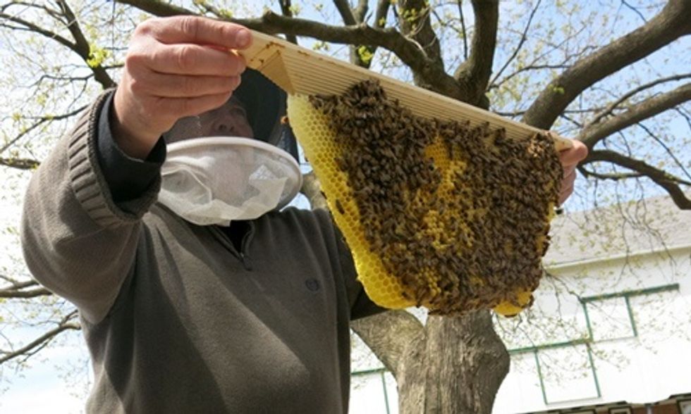 'Bee' the Solution