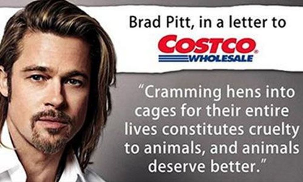 Brad Pitt and Bill Maher Slam Costco for Selling Eggs From Caged Hens