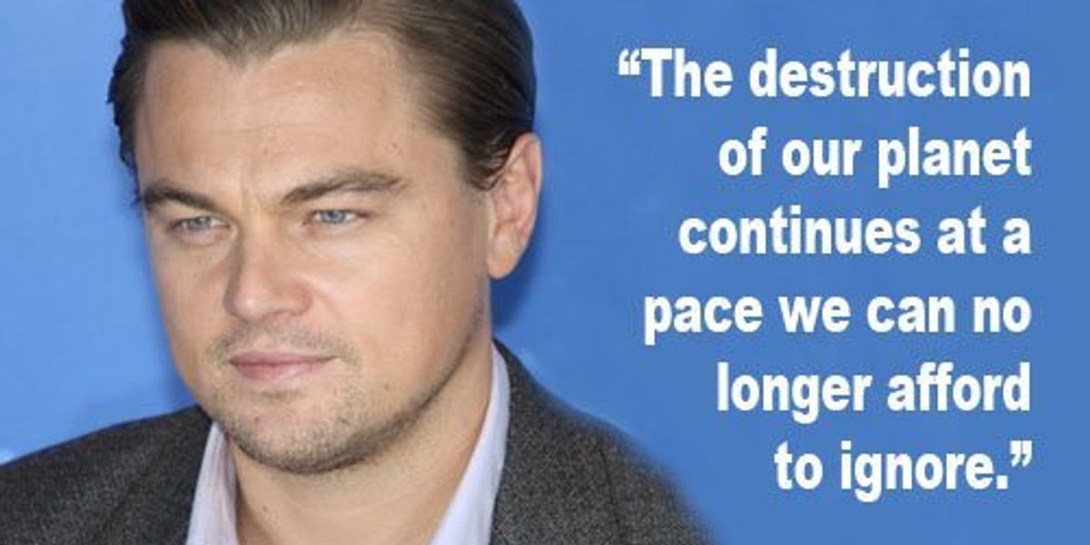 Leonardo dicaprio foundation что это