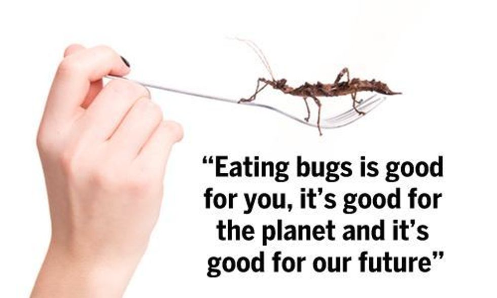Why Eating Bugs Will Soon Become the New Normal