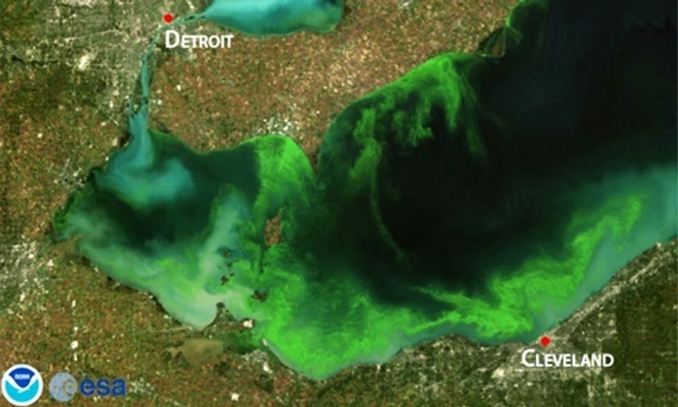 Harmful Algal Blooms Predicted for Lake Erie, Says NOAA