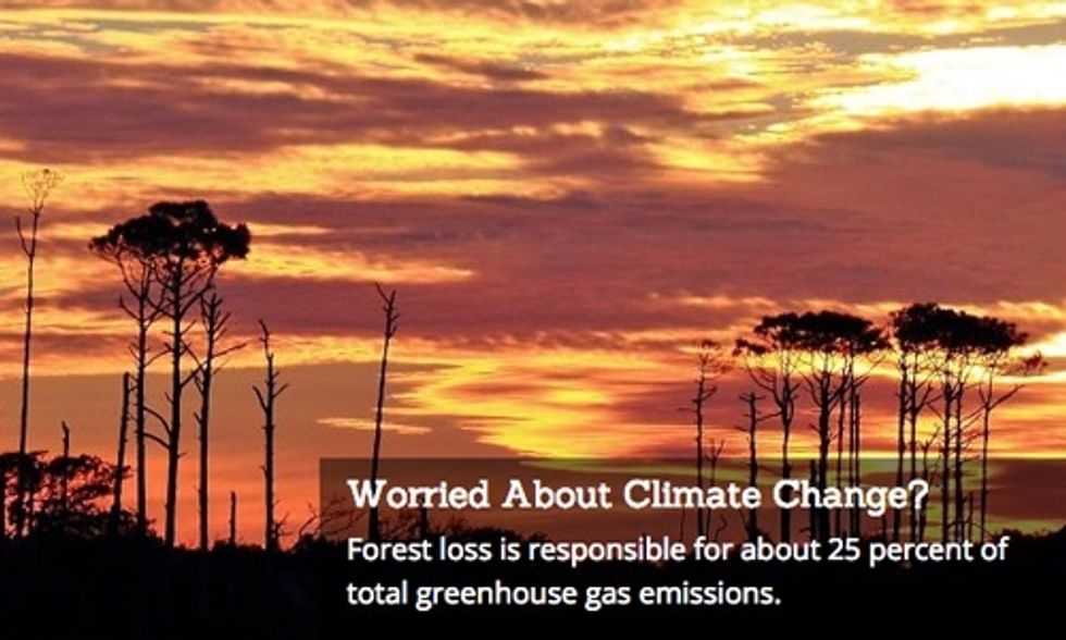 What the World Needs from the Paris Climate Talks