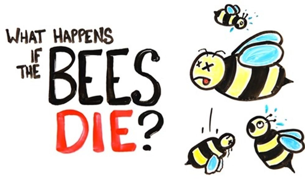 If All the Bees in the World Die, What Would Happen to Humans?