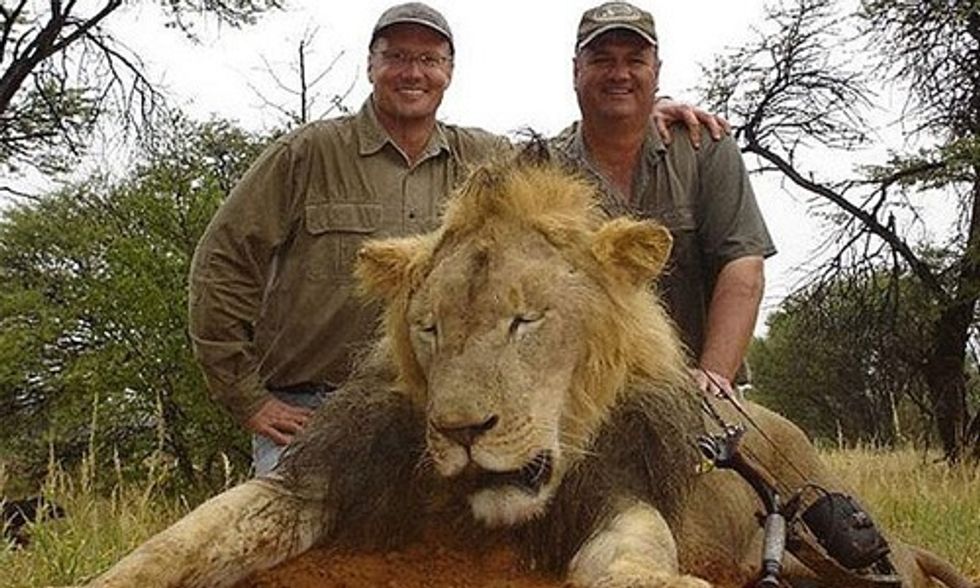 Dentist Pays $50,000 to Kill Cecil the African Lion, Sparks Internet Outrage