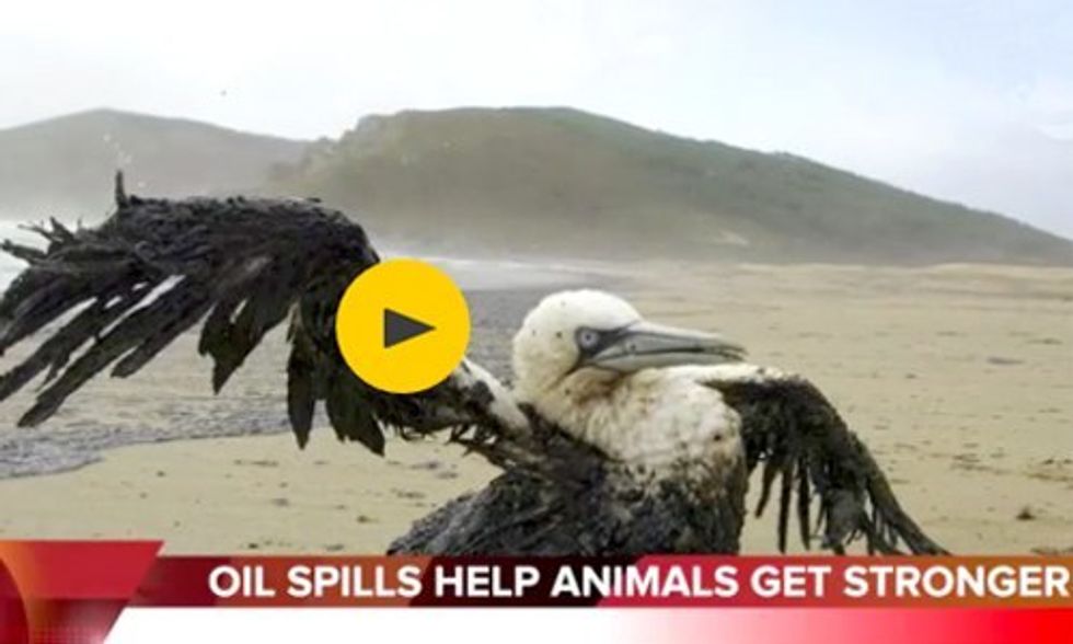 Bill Nye's 'Twin Brother' Reveals the Truth About Climate Change and Fossil Fuels
