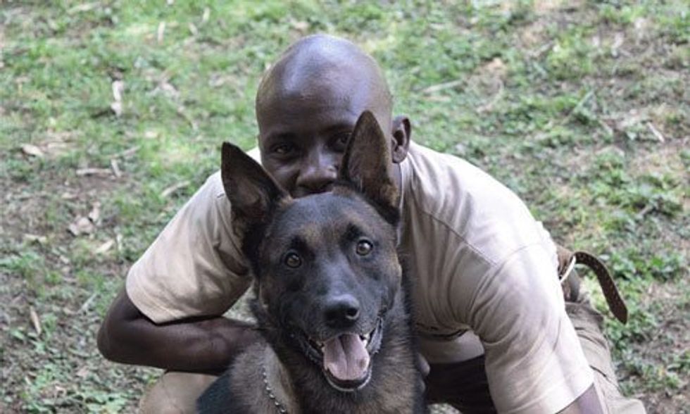 7 Photos That Show Why Dogs Are Elephants' Best Friends