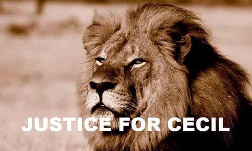 5 New Developments in the Killing of Cecil the Lion