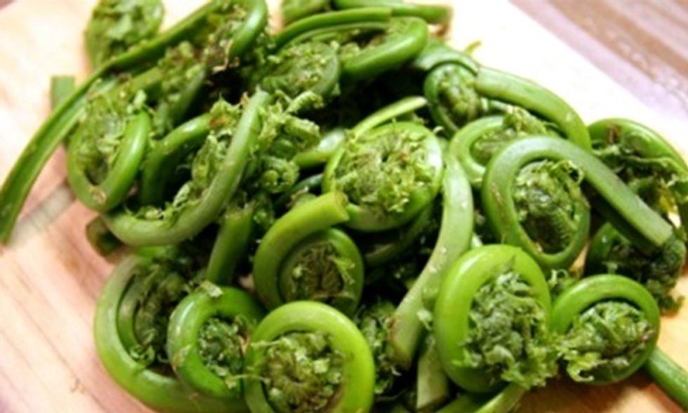 8 Superfoods You Don't Even Know About
