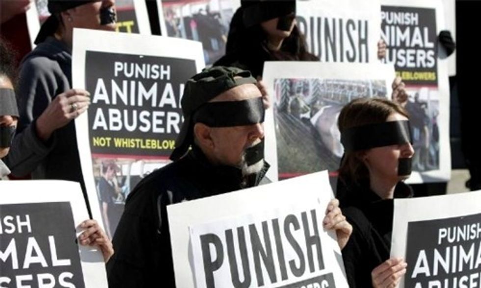 Federal Judge Strikes Down Ban on Undercover Filming at Farm Operations