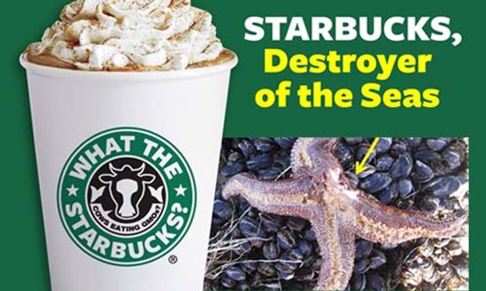 Starbucks, Destroyer of the Seas
