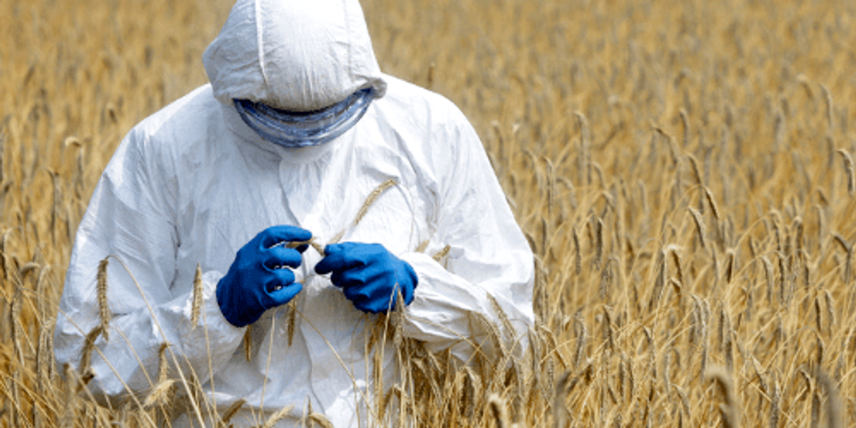 scotland-bans-the-growing-of-genetically-modified-crops-ecowatch