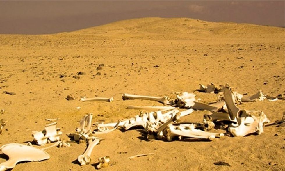 25 Most Extreme Climates on Earth
