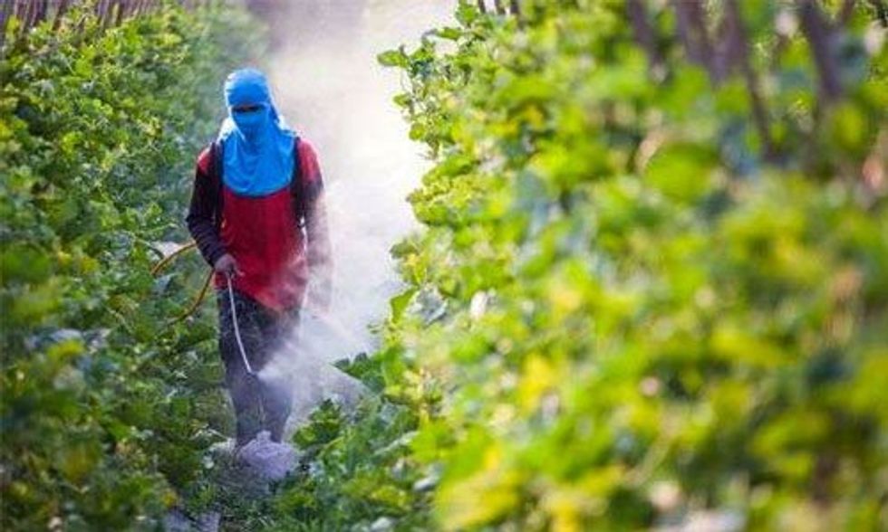 5 GMO Myths Debunked by Vandana Shiva