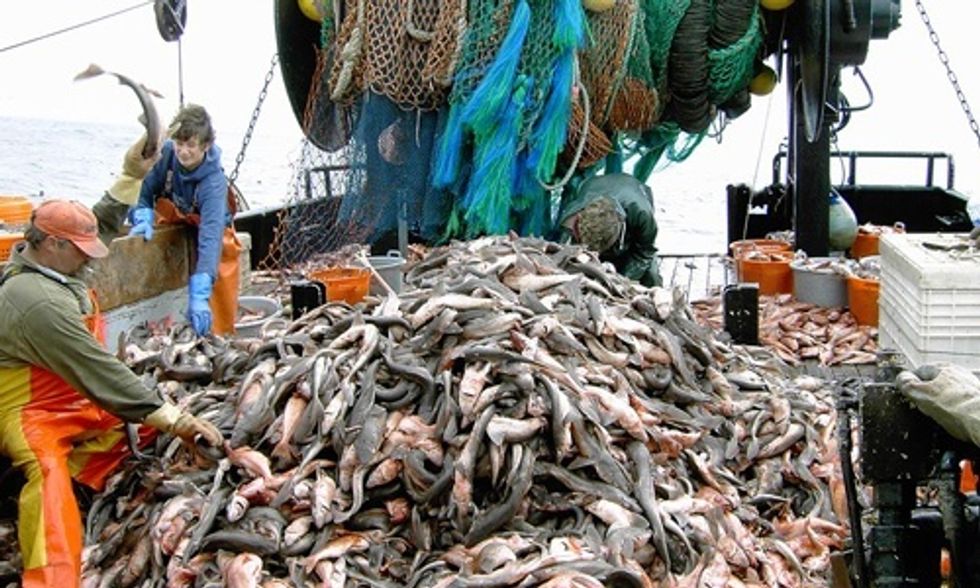 The World's Oceans Are in Peril