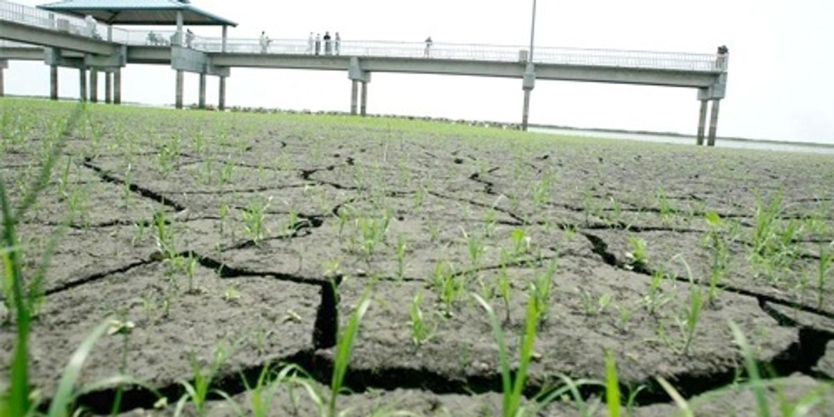 Extreme Drought Hits South Florida EcoWatch