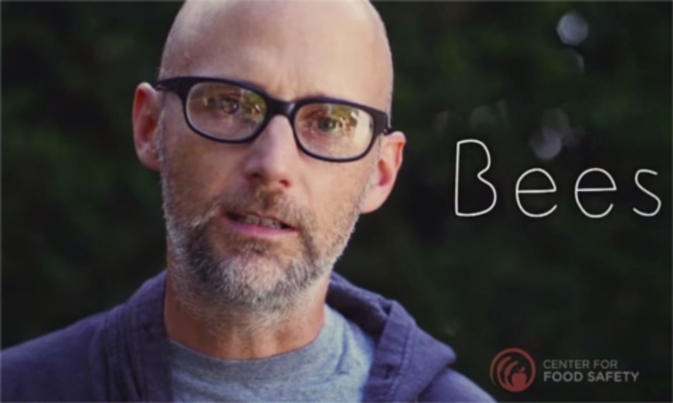 Moby Says 'Save Our Bees' From Neonicotinoids